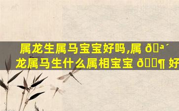 属龙生属马宝宝好吗,属 🪴 龙属马生什么属相宝宝 🐶 好